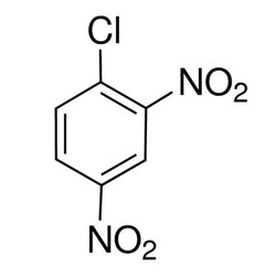 2:4 DI Nitro Chloro Benzene